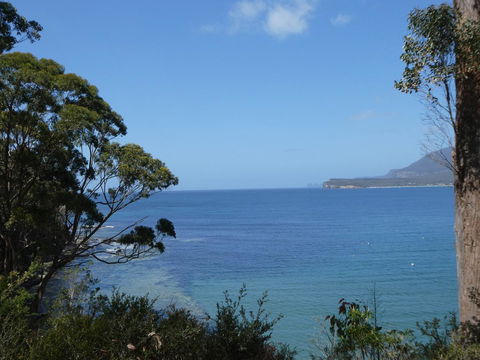 Osprey Lodge & Bungalow - Holiday Cairns 3