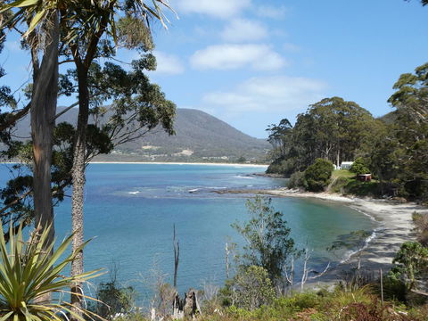 Osprey Lodge & Bungalow - Holiday Cairns 4