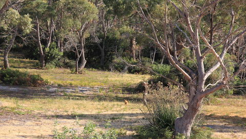 BAY OF FIRES SEACHANGE Ocean Frontage - Holiday Cairns 12