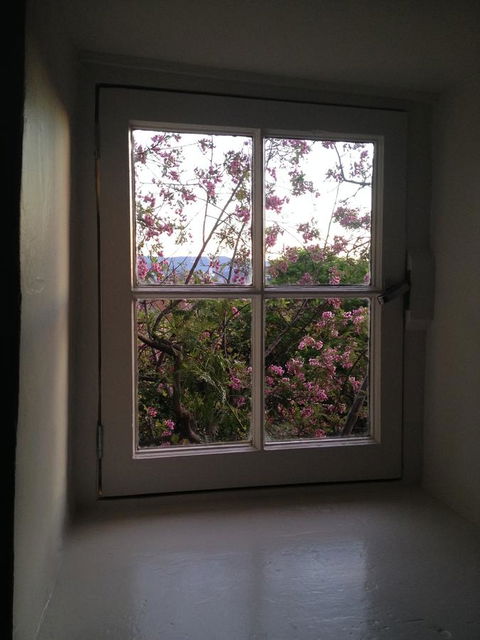 Blue Magnolia - Holiday Cairns 36