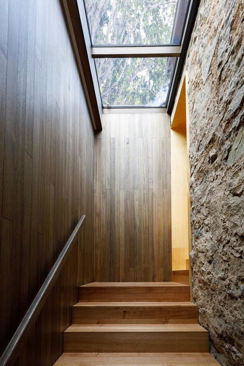 Blue Magnolia - Holiday Cairns 25