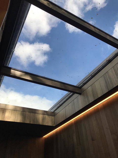 Blue Magnolia - Holiday Cairns 24