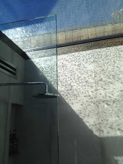 Blue Magnolia - Holiday Cairns 33