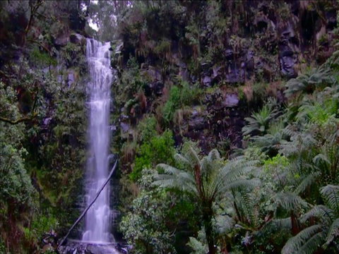 Great Ocean Road Resort - Holiday Cairns 16