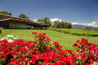 Book Yarra Glen Accommodation Vacations Holiday Cairns Holiday Cairns