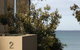 Battery Cove Beach Front Apartment - thumb 17
