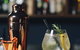 Saint Kilda Beach Hotel - Formerly Rydges St Kilda - thumb 40