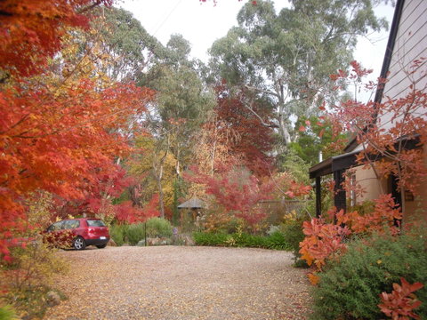 Merrimeet Cottages - Holiday Cairns 5