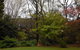 Merrimeet Cottages - thumb 20