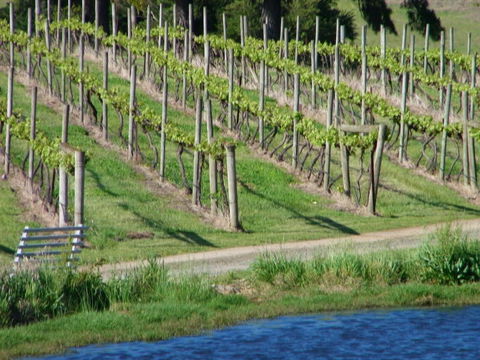 De\'Vine Escape - Holiday Cairns 13