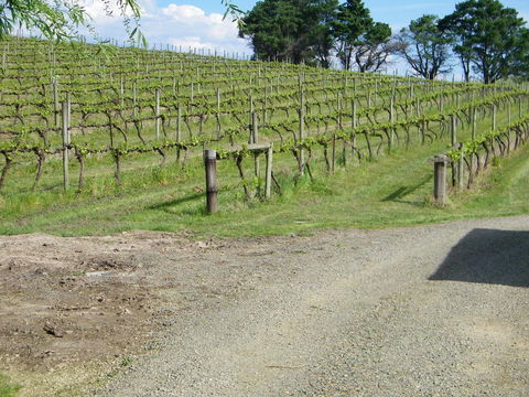 De\'Vine Escape - Holiday Cairns 23