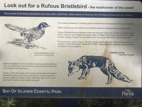 Sunsets On Martyrs Luxury Coastal Beach House Peterborough - Holiday Cairns 40