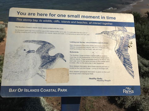 Sunsets On Martyrs Luxury Coastal Beach House Peterborough - Holiday Cairns 39