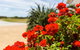 Cottages For Couples - thumb 13