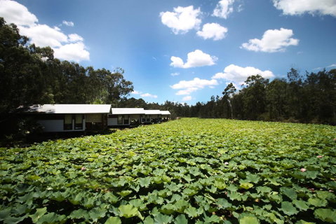 The Boathouses At Leaves & Fishes - Holiday Cairns 0