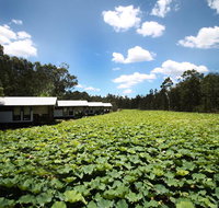 The Boathouses at Leaves  Fishes - Holiday Cairns