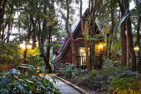 The Mouses House Rainforest Retreat - Holiday Cairns 1