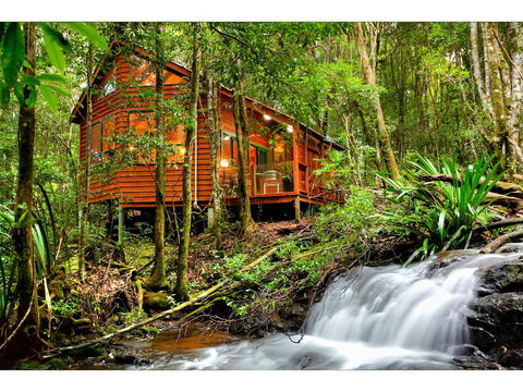 The Mouses House Rainforest Retreat - Holiday Cairns 0