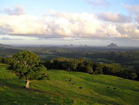 Book Maleny Accommodation Vacations Holiday Cairns Holiday Cairns