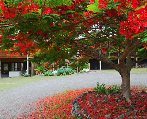 TRANQUILO BEACH HOUSE - Holiday Cairns 2
