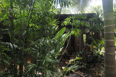 Tropical Bliss Bed And Breakfast - Holiday Cairns 2