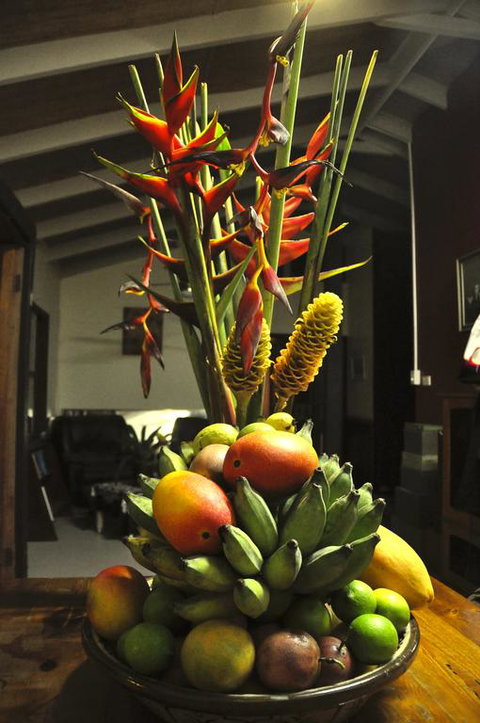 Tropical Bliss Bed And Breakfast - Holiday Cairns 3