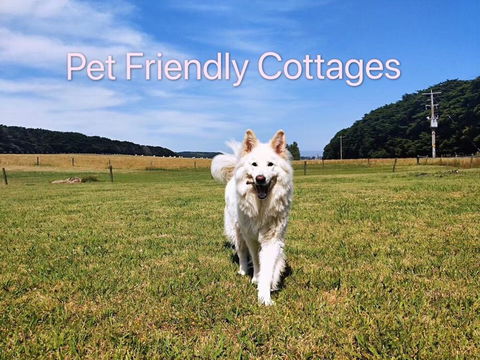 Twelve Apostles Motel & Country Retreat - Holiday Cairns 2