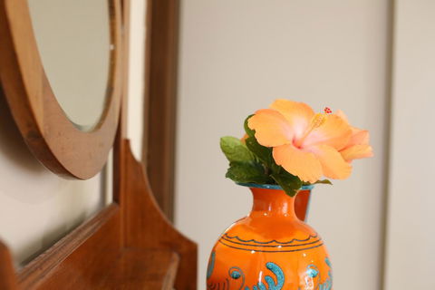 Two 46 Brodie - Holiday Cairns 1