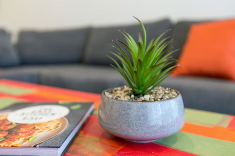 Urban Jungle! Executive Apartment In Heart Of CBD - Holiday Cairns 1