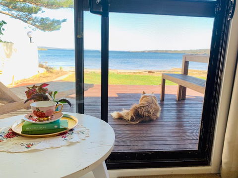 Vandy's Shack At Mount Dutton Bay - Ideal For Couples And Small Families - Holiday Cairns 3