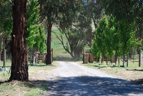 Bluegum Ridge Cottages - Holiday Cairns 3