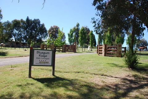 Bluegum Ridge Cottages - Holiday Cairns 1