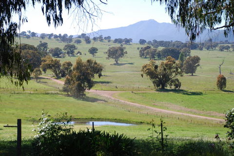 Bluegum Ridge Cottages - Holiday Cairns 31
