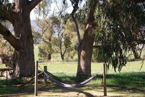 Bluegum Ridge Cottages - Holiday Cairns 28