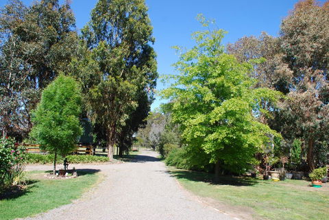 Bluegum Ridge Cottages - Holiday Cairns 5