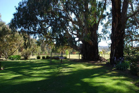 Bluegum Ridge Cottages - Holiday Cairns 29
