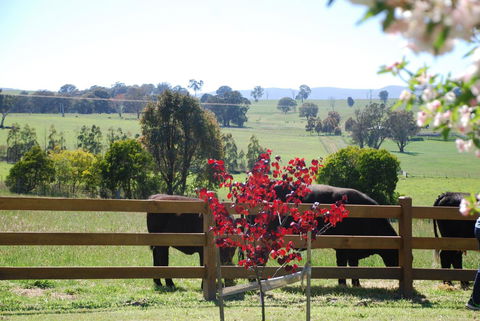 Bluegum Ridge Cottages - Holiday Cairns 33