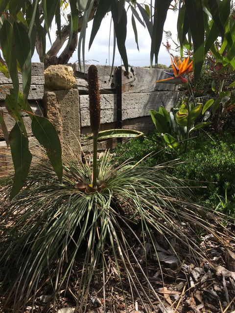 The PC Cottage - Holiday Cairns 32
