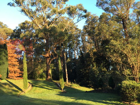 The Dan - Holiday Cairns 23