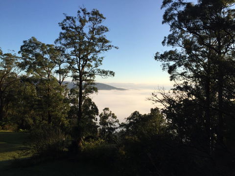 The Dan - Holiday Cairns 25