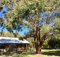 Grampians Pomonal Cottages - Holiday Cairns