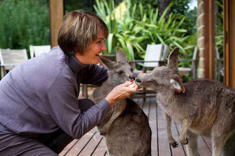 Kangaroo Manor - Holiday Cairns 20