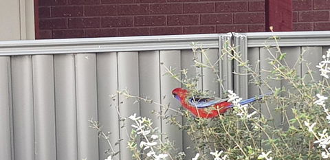 Torquay Timeout - Holiday Cairns 14