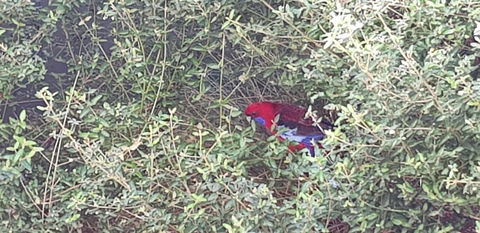 Torquay Timeout - Holiday Cairns 16