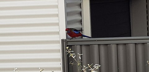 Torquay Timeout - Holiday Cairns 15