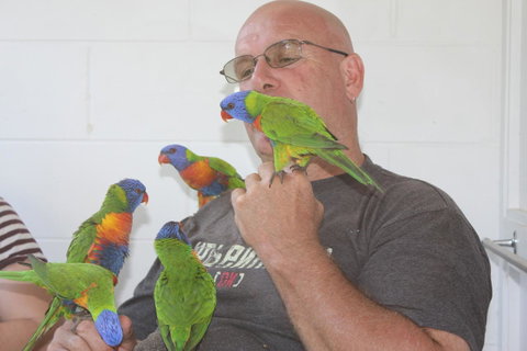 Amaroo On Mandalay, Magnetic Island - Holiday Cairns 33