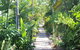 Amaroo On Mandalay, Magnetic Island - thumb 23