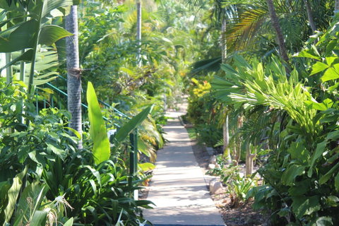 Amaroo On Mandalay, Magnetic Island - Holiday Cairns 23