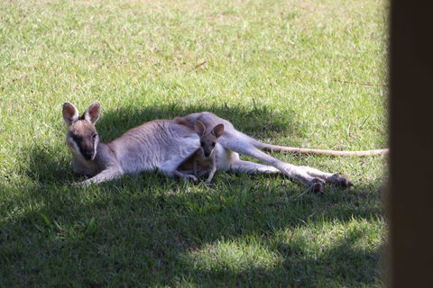 The Hideaway Agnes Water (Adults Only) - Holiday Cairns 42