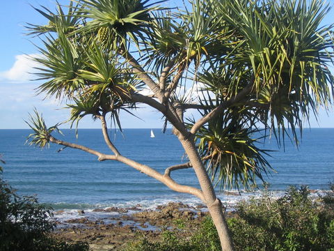 Headland Tropicana Resort - Holiday Cairns 39